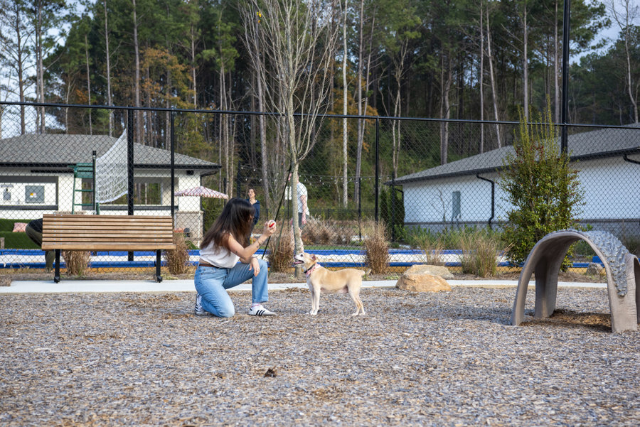 dog park
